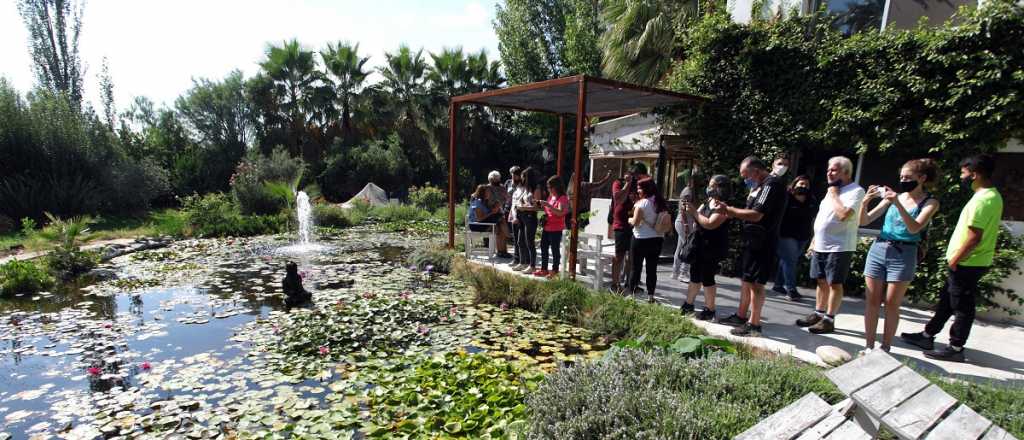 Lo mejor del arte y del vino en un nuevo bus tour por Guaymallén