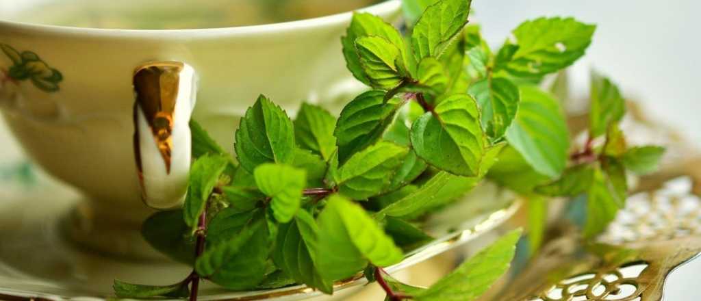 Perder peso y reducir la cintura, es posible con una bebida natural