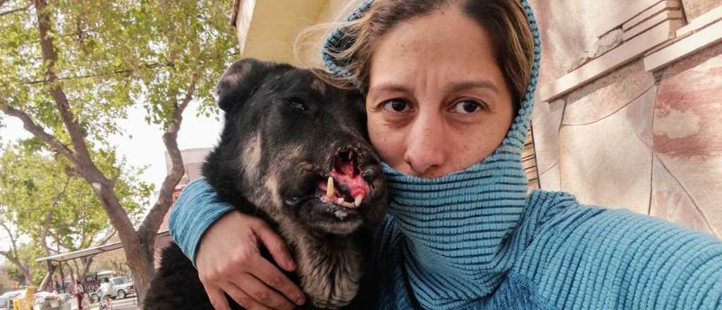 Murió Alfredo, el perrito mendocino con el hocico explotado por un petardo