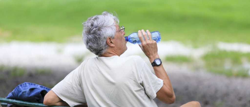 Miércoles de calor sofocante en Mendoza  