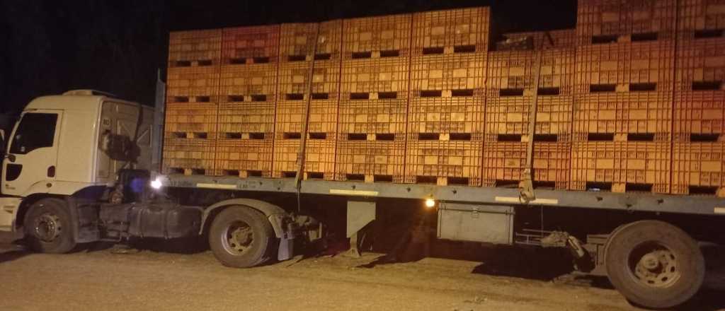 Seis detenidos en San Rafael por robar duraznos de una finca