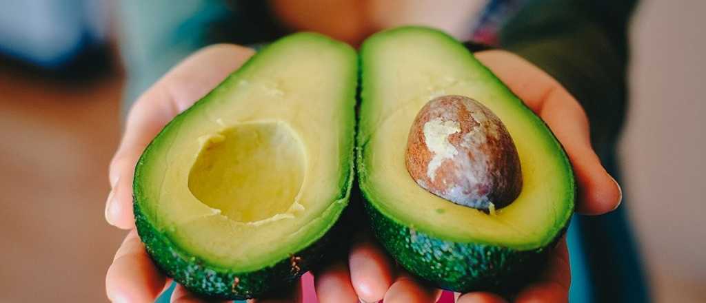 La razón por la que conviene comer palta a la mañana