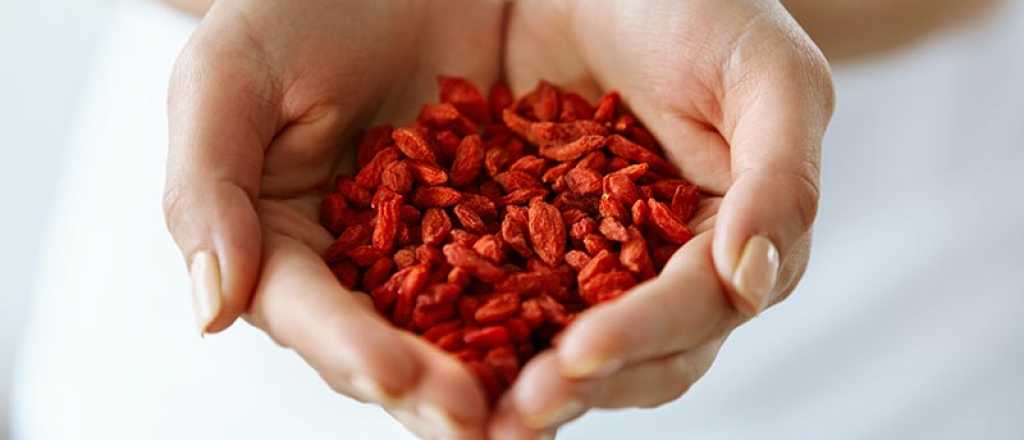 Cómo consumir las bayas de goji y dónde se compran