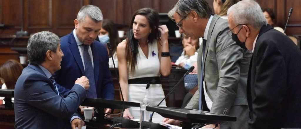 Aprobaron la Boleta Única en el Senado mendocino y pasó a Diputados