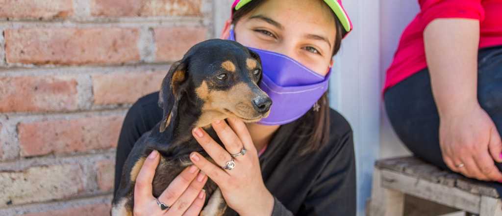 Castración de mascotas: Guaymallén dará turnos para abril