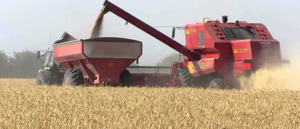 Dos derrames de hidrocarburos ponen en peligro la cosecha gruesa