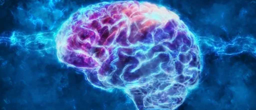 Cuida tu cerebro: claves para mantenerlo sano y activo a lo largo de la vida