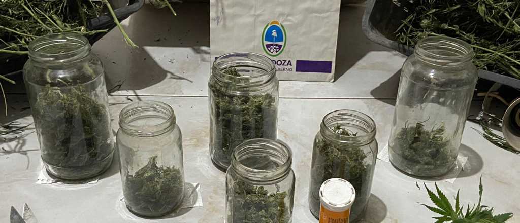 Lo detuvieron en su casa de Tunuyán con casi 6 kilos de marihuana