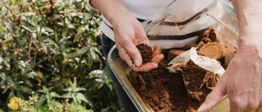 ¿Cómo hacer abono casero para tus plantas?