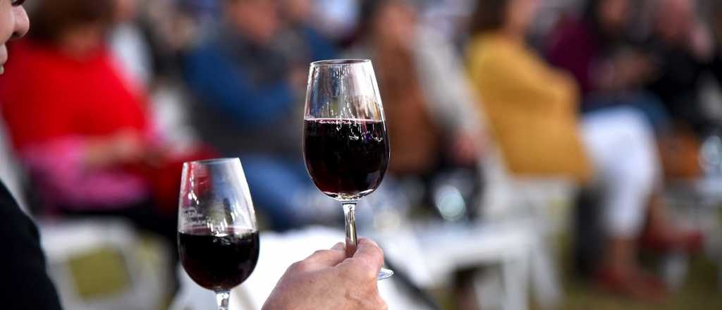 Fijan un nuevo mínimo de tenor alcohólico para vinos Cosecha 2024