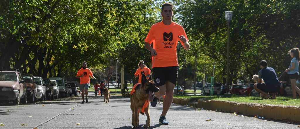 Este será el recorrido de la Maratón Animal 2022 de Ciudad