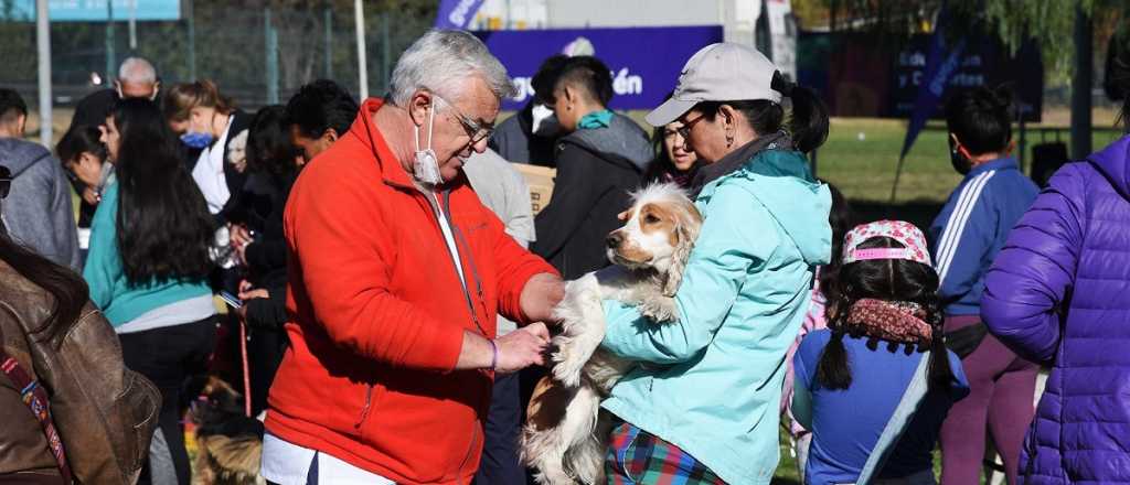 Fotos: el festejo de Guaymallén por el Día del Animal