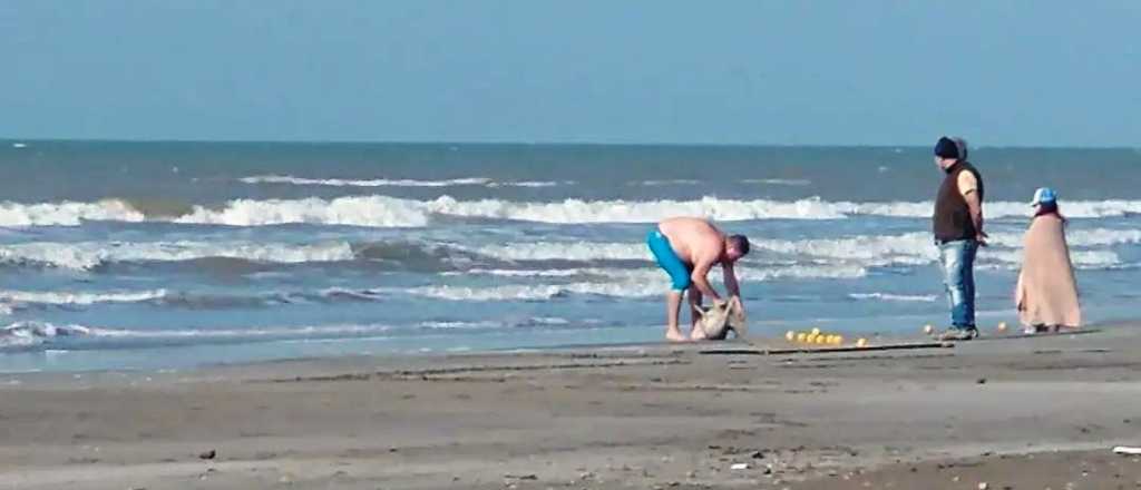 Pescó un delfín en peligro de extinción y se lo llevó a su casa en Mar del Tuyú