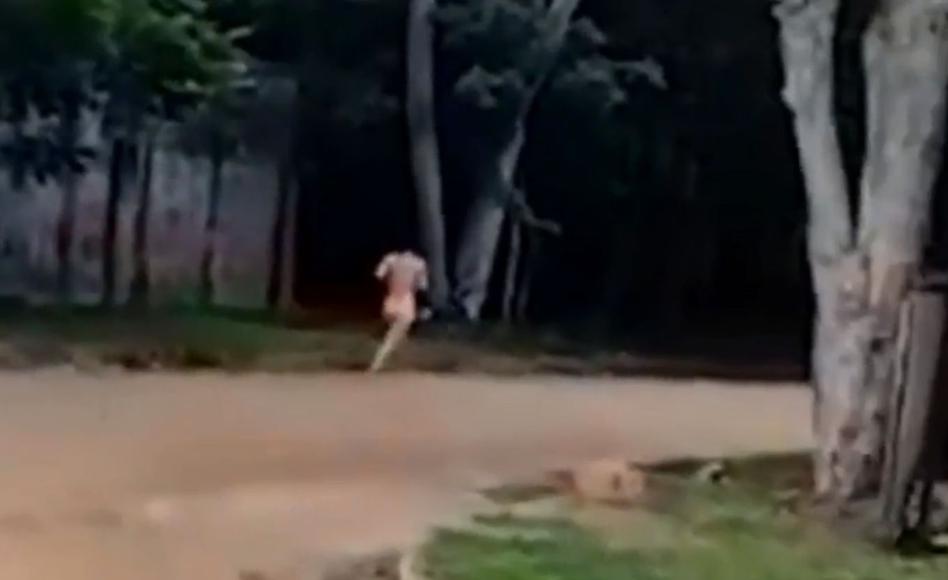 Video: durante el Censo, una mujer salió a correr desnuda porque se drogó -  Mendoza Post