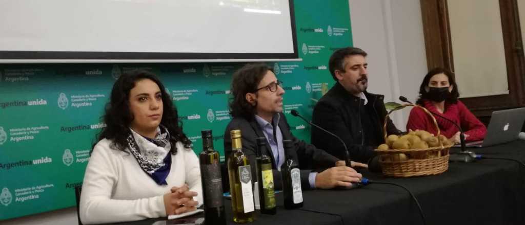 El aceite de oliva de Mendoza tendrá marca de origen