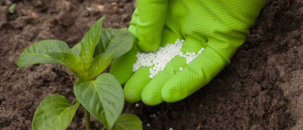 El precio del insumo que hace peligrar la producción del campo