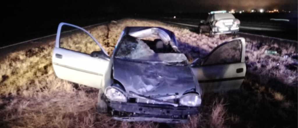 Un auto chocó contra un caballo en el Acceso Sur