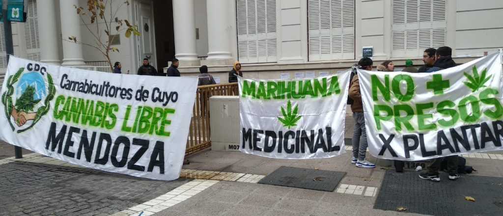 Piden despenalizar la marihuana con pegatinas en la Legislatura