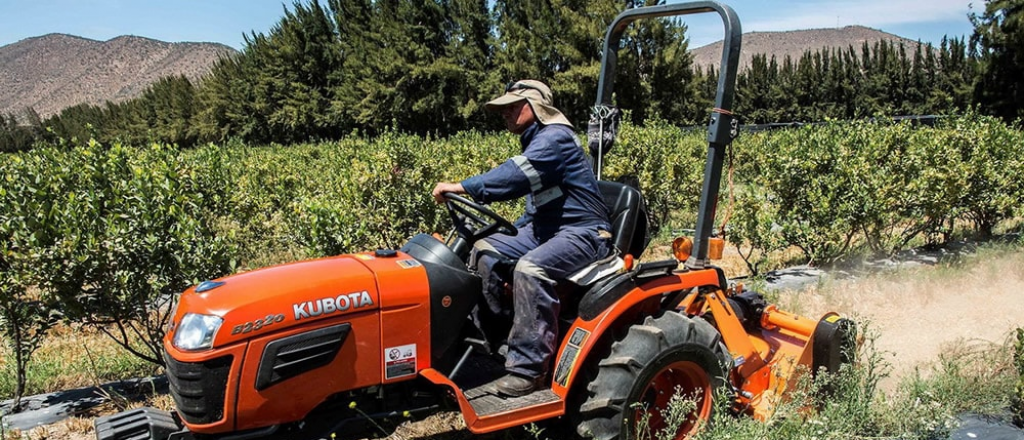 Lanzan Mendoza +Agro, la herramienta clave para decisiones estratégicas