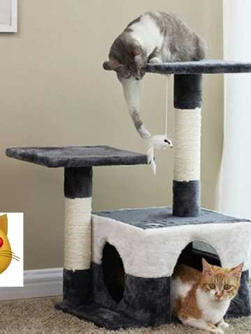 Rascador para gatos con cuerda de Sisal, juguete para gatos, rascadores  para gatos de interior, camas para gatitos, lindo árbol para gatos -  AliExpress