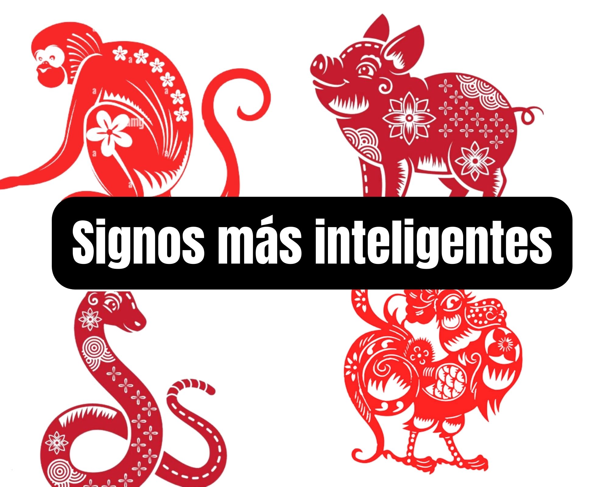 Horóscopo Chino: los cuatro signos más inteligentes - Mendoza Post