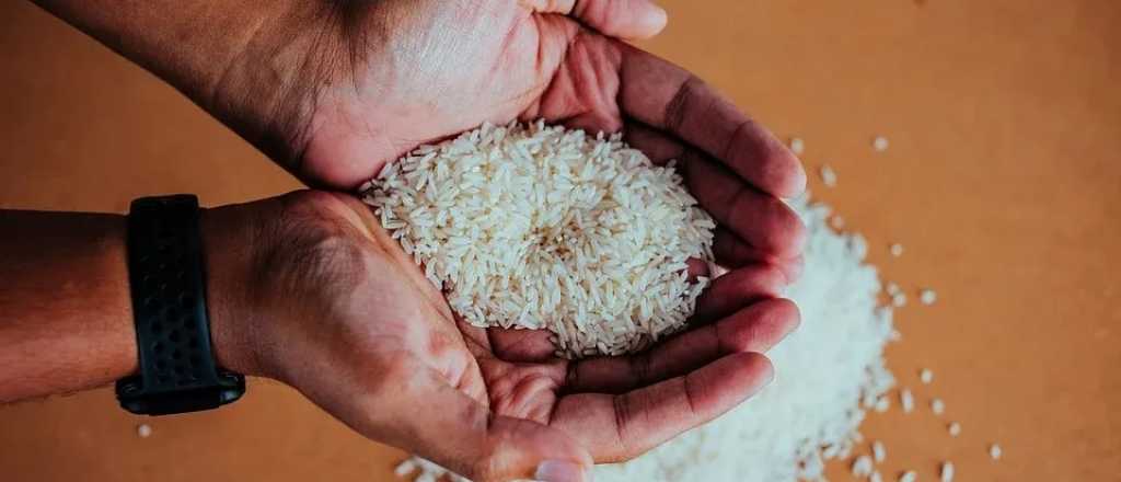 ¿Qué pasa si no lavamos el arroz antes de cocinarlo?