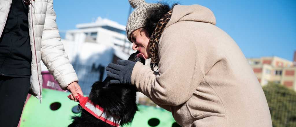 Ciudad celebró una actividad entre animales y personas con discapacidad