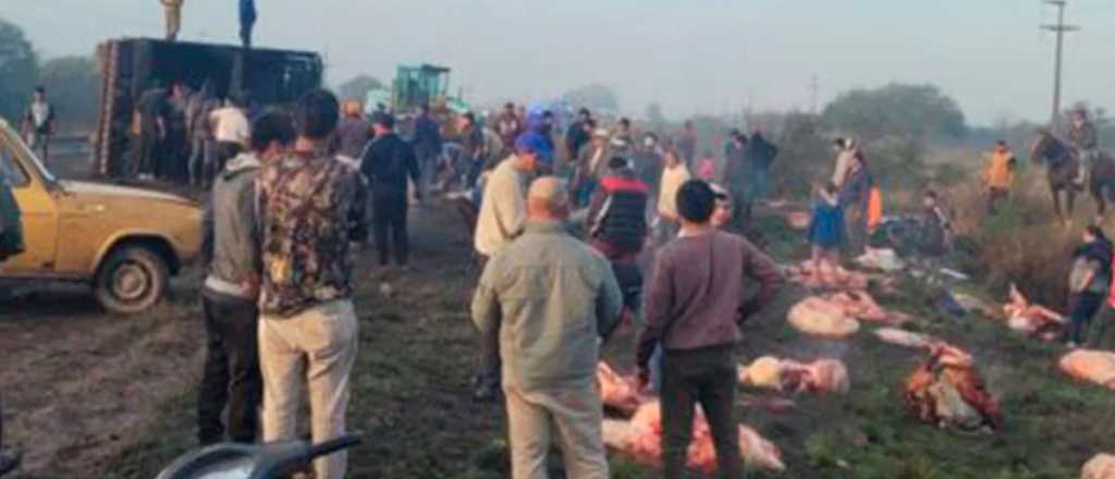 Video: volcó un camión con 50 vacas y los vecinos las faenaron a todas