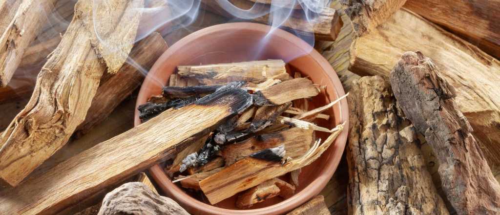 Para qué sirve el palo santo y cómo usarlo