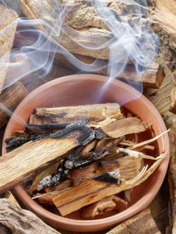 Cómo quemar madera de Palo Santo: 11 Pasos (con imágenes)