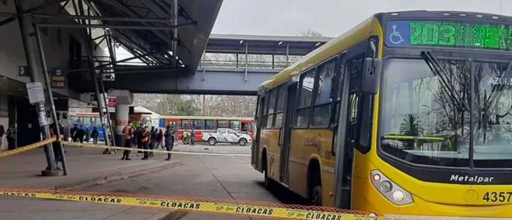 A un nene se le cayó una bolita a la calle, la fue a buscar y murió atropellado