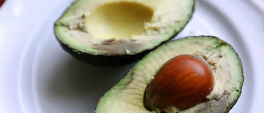 Palta oxidada: cómo guardarla para que no se ponga negra