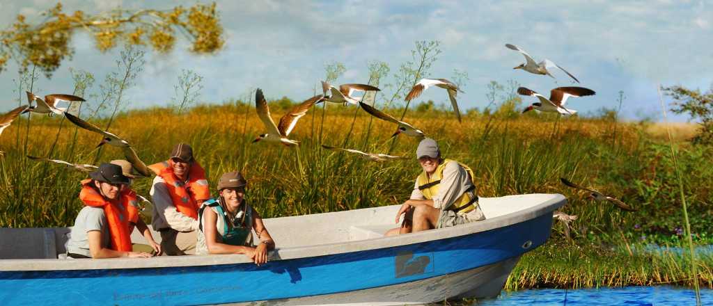 El poder de la naturaleza: Corrientes renace "verde" después de los incendios