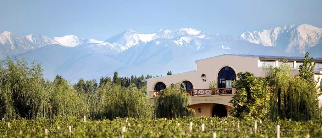 La nueva bodega que nace en Mendoza por más de 2.5 millones de dólares