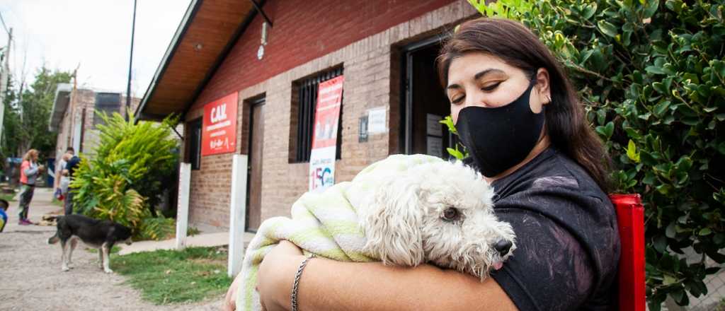 Dónde estarán esta semana los servicios municipales de Las Heras