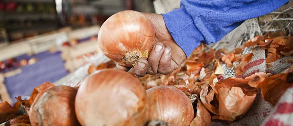 El fuerte aumento de la cebolla impactó en el precio de las empanadas