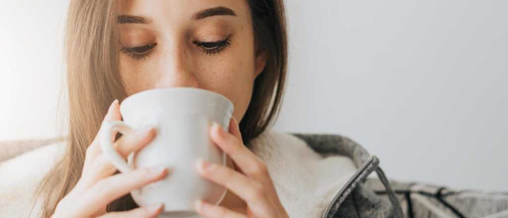 Café vs. Té: ¿cuál tiene más beneficios para la salud?