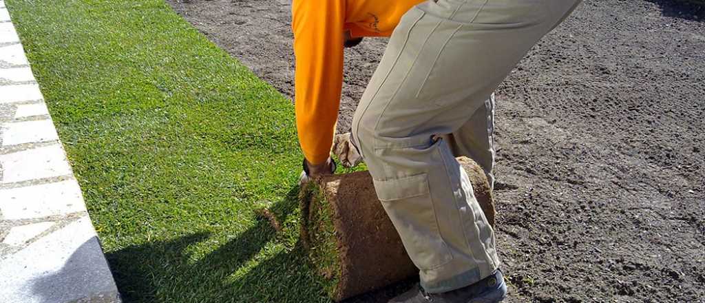 Estas son las reglas que debes cumplir al diseñar tu jardín