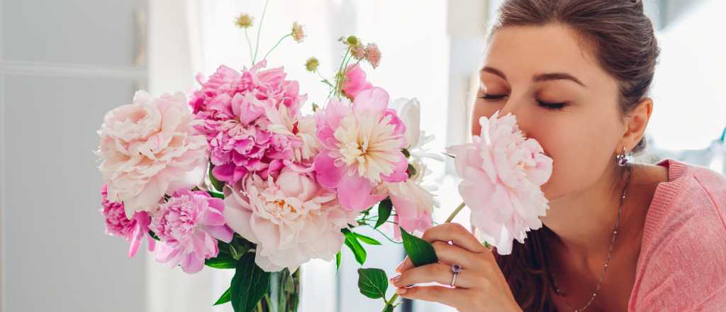 Cada signo del zodiaco tiene una flor: ¿cuál es la tuya?