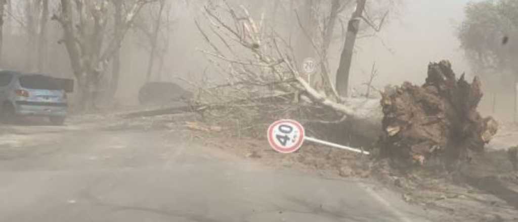 Fuertes ráfagas de Zonda en el Gran Mendoza