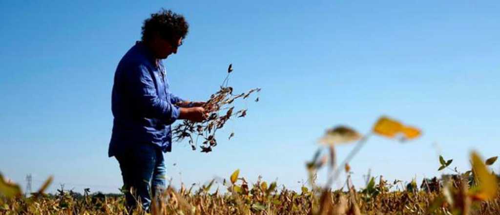 La Sociedad Rural le propone a Massa reducir las retenciones