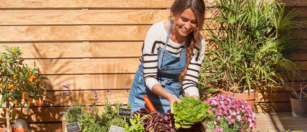 ¿Cómo preparar el jardín antes de que llegue la primavera?