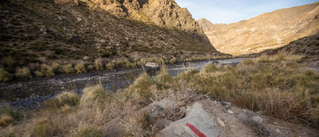 En detalle: qué dicen y cómo se hicieron los estudios ambientales de El Baqueano