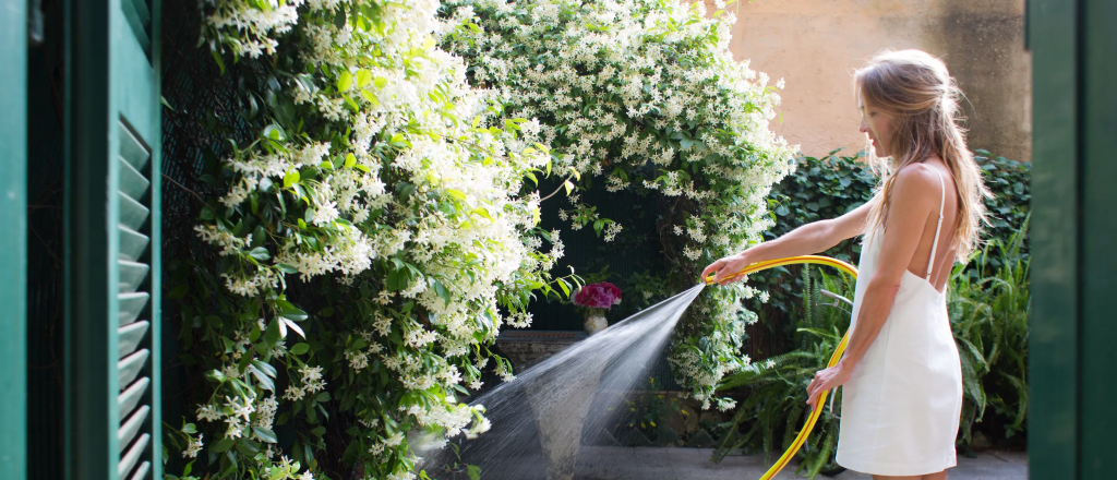 Cuáles son las plantas ideales para el balcón o el jardín