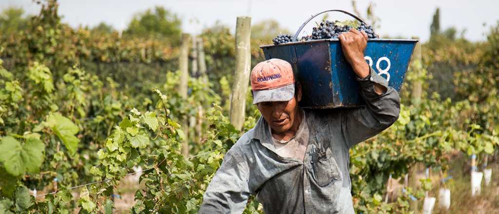 Cuánto ganarán los cosechadores en enero y febrero