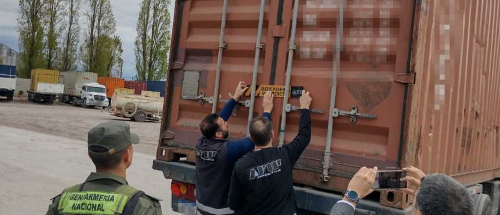 Llevaba 25 mil kilos de uva floja de papeles y le secuestraron el camión