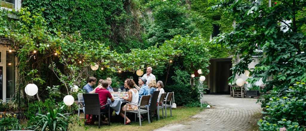 Cuáles son las mejores plantas trepadoras para el jardín