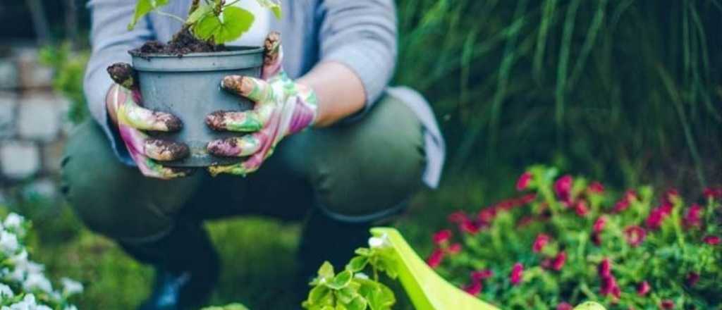 Cómo aprovechar la primavera con 5 tareas para el jardín