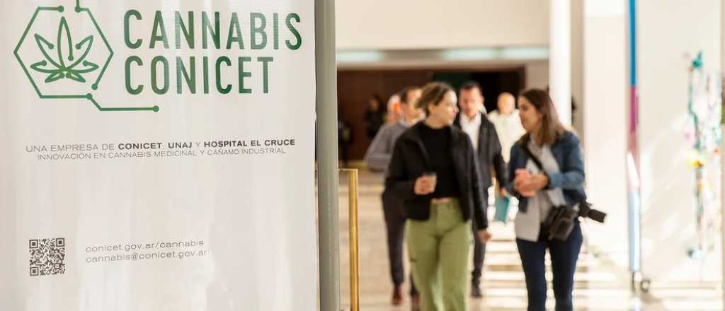 Una empresa estatal venderá semillas de cannabis para uso medicinal