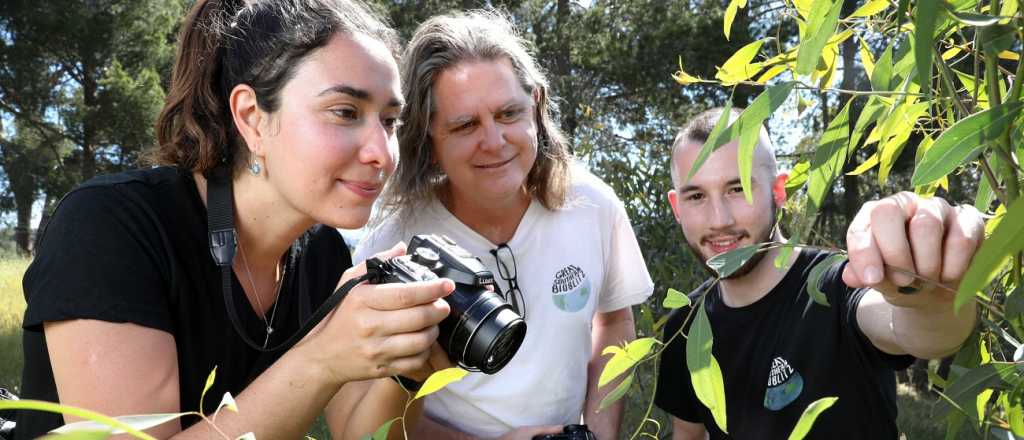 Ciudad celebra la biodiversidad con la Gran Biobúsqueda del Sur